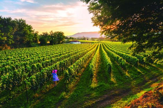 Il Poggio Daire Monticelli Brusati Dış mekan fotoğraf